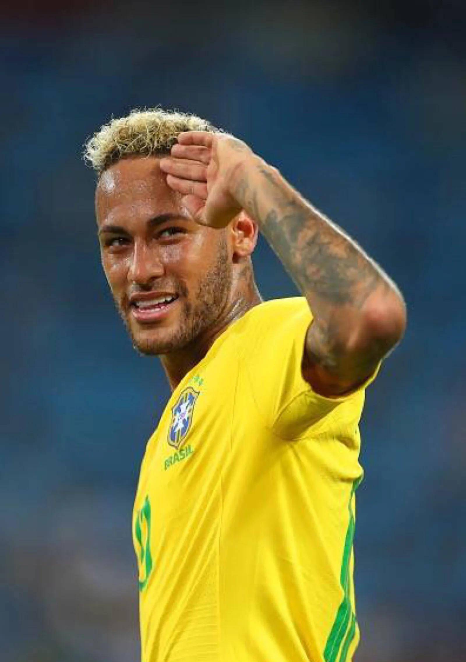 巩固了他们 巩固了他们