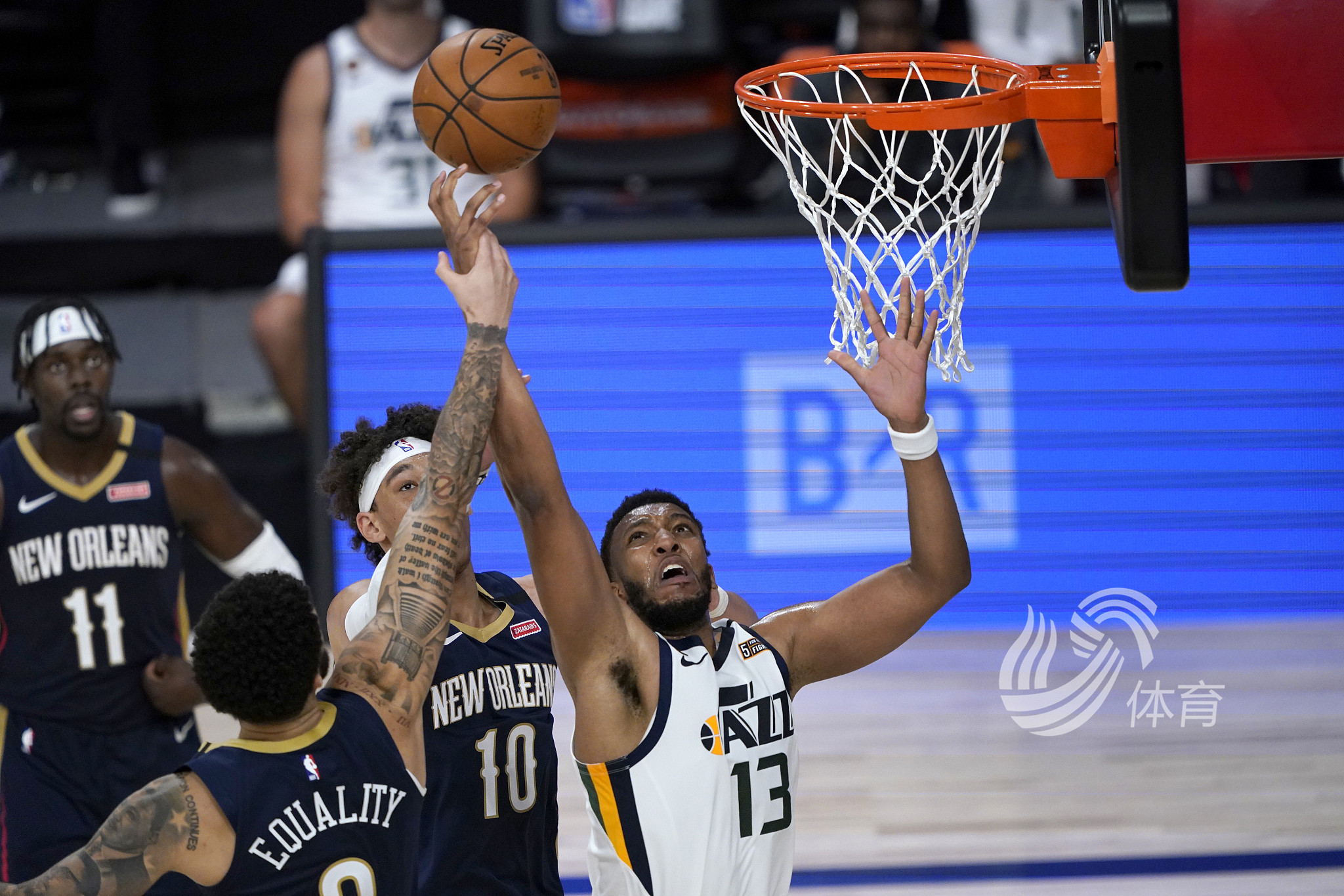 的职业生涯 的职业生涯