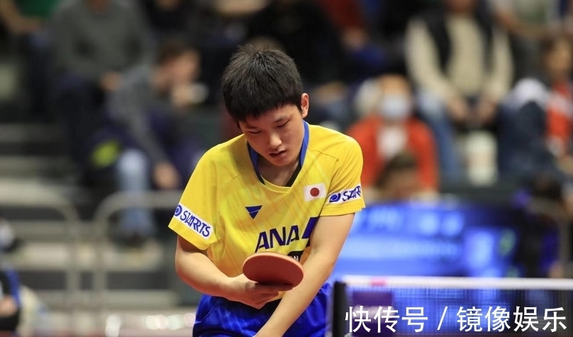 春节档以旧 春节档以旧